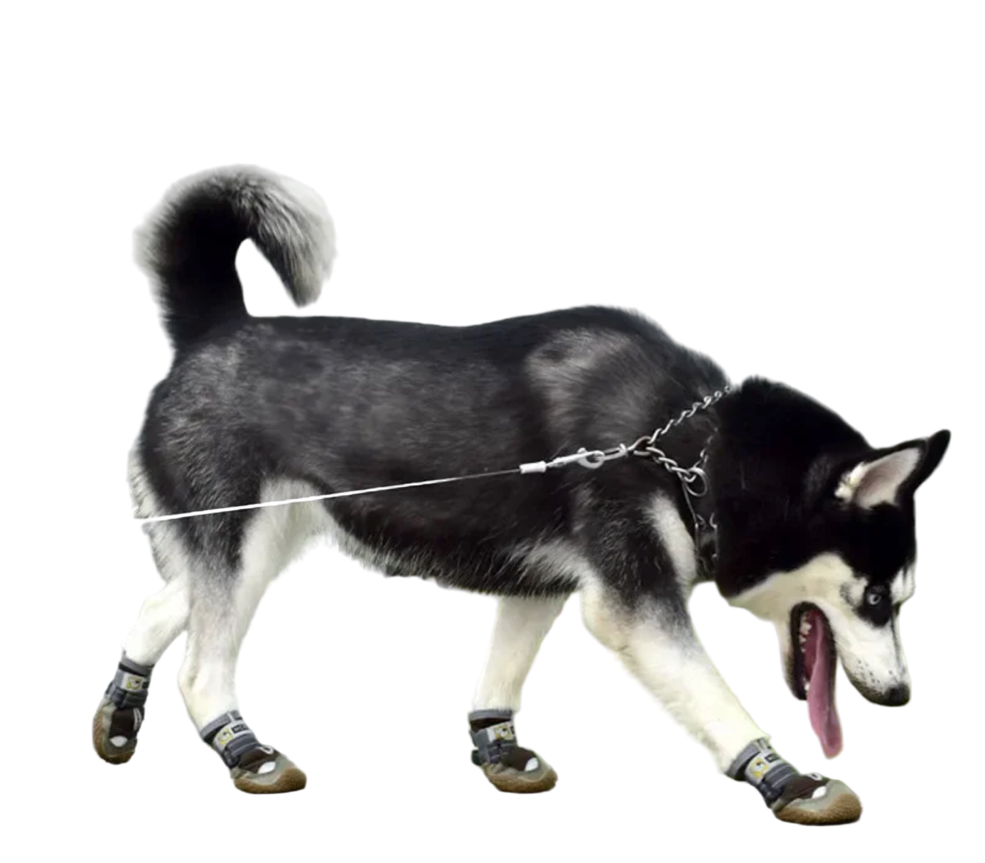 Anti-Slip Paw Protectors