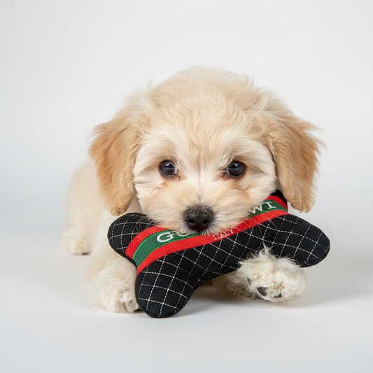 Gucchewi Bone Toy