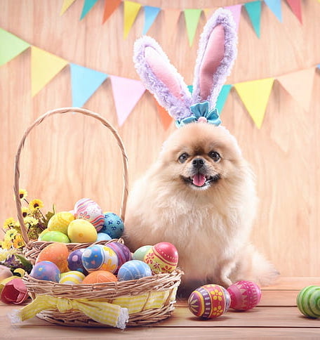 Yappy Easter