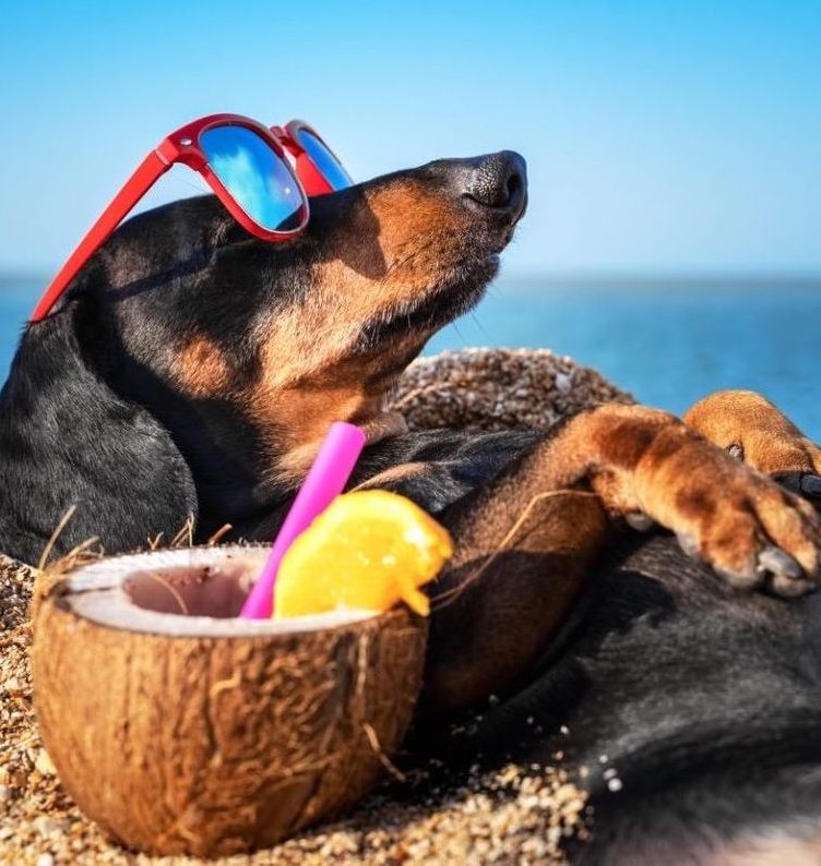 Summer Essentials