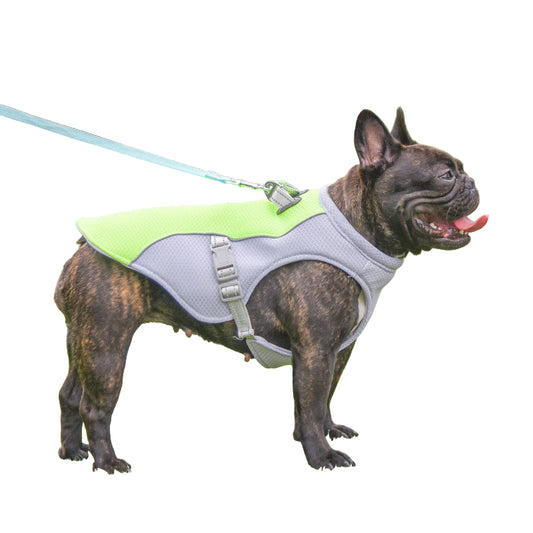 Summer Pet Dog Cooling Vest Heat Resistant Cool Dogs Clothes Breathable Sun-Proof Clothing for Small Large Dogs Outdoor Walking