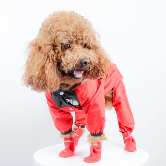 The Dog Face Raincoat