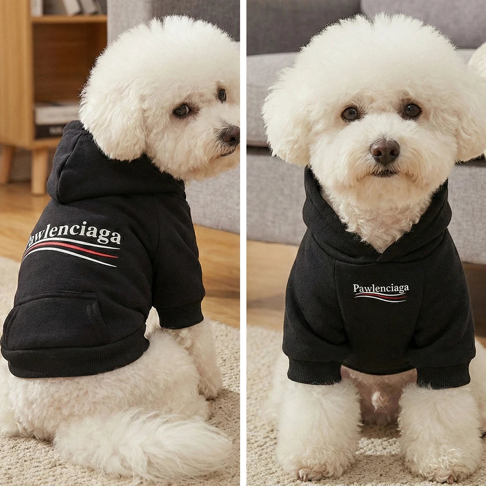 Pawlenciaga Hoodie