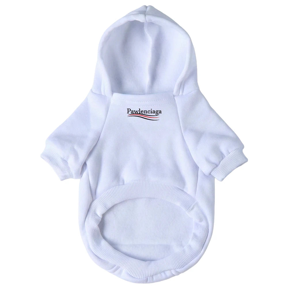 Pawlenciaga Hoodie