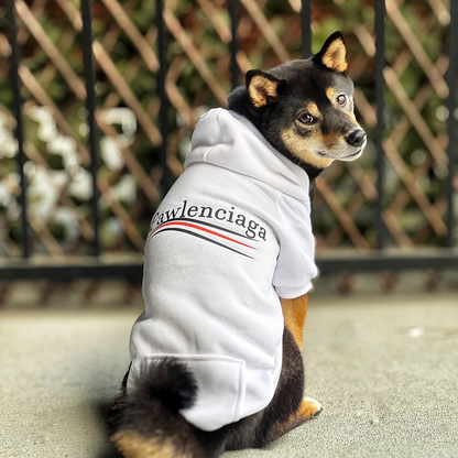 Pawlenciaga Hoodie